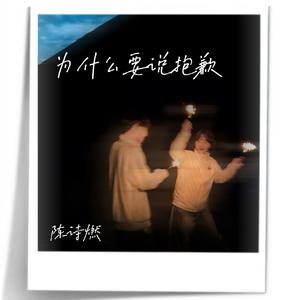 为什么要说抱歉