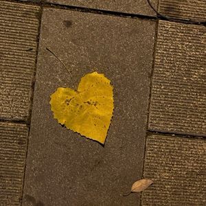 岁月神偷「翻自金玟岐」