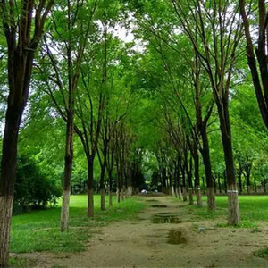 画地为牢 (剪辑版)