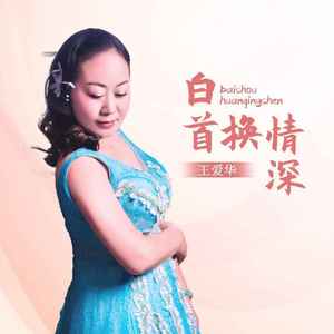 白首换情深 (DJ默涵版)