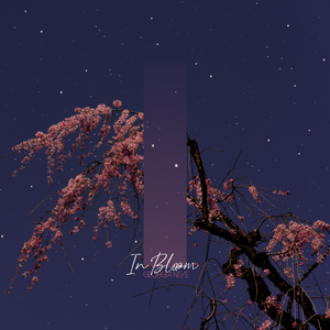 In Bloom