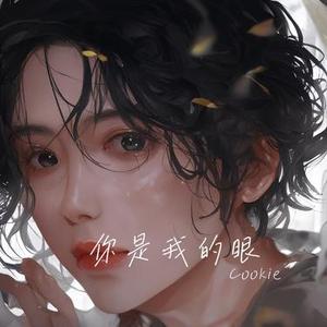 你是我的眼 (Cover 林宥嘉)