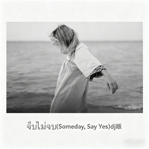 จีบไม่จบ (Someday, Say Yes)dj版