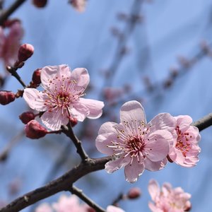 再靠近一点点