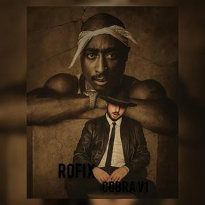 Cobra V1 (feat. Rofix Officiel)