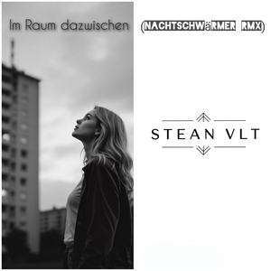 Im Raum Dazwischen (Nachtschwärmer Remix)
