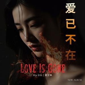 爱已不在 (Love Is Gone)