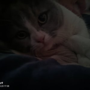 攒够失望的异地离别