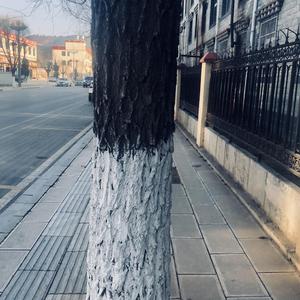 喊我一下摇滚明星吧（试验）