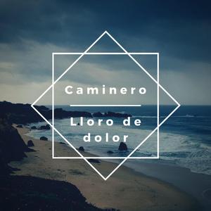 Lloro de Dolor