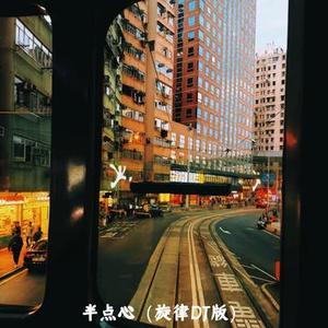 半点心 (DJ版)