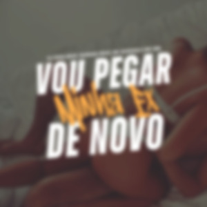 Vou Pegar Minha Ex de Novo
