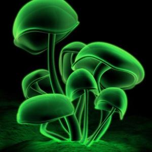 4get (feat. Fijimar)