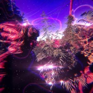 Open (feat. HATEDONNY)