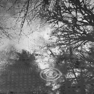 Fromage Blanc Sorbet