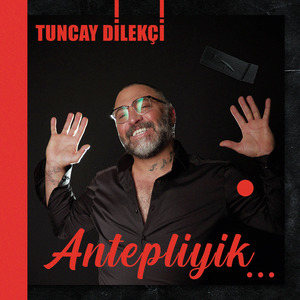 Antepliyik