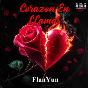 Corazon En LLamas