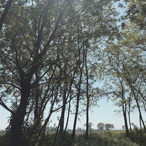 summer postcards
