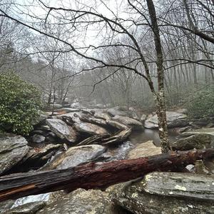 error404 (feat. Z1M)