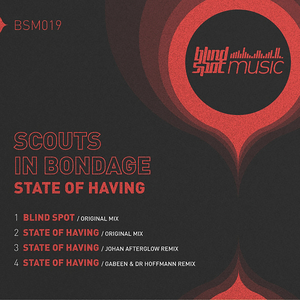 State of Having (Gabeen & Dr Hoffmann Remix)