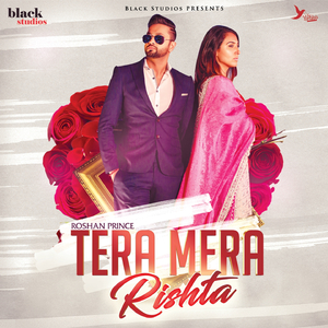 Tera Mera Rishta