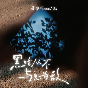 黑暗从不与光为敌