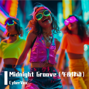 Midnight Groove（午夜律动）