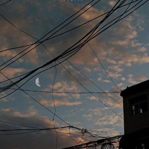 总有一天你会出现在我的身边（翻自 棱镜xsd）