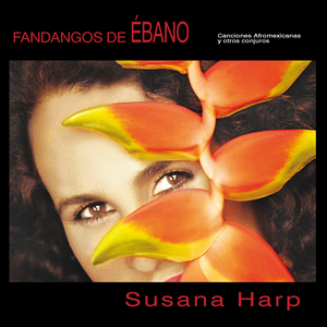 Anoche Estuve Soñando