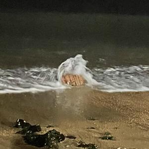 悄无声息（海浪伴奏demo）