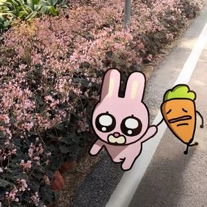 私心（Prod.Morrow x IOF）