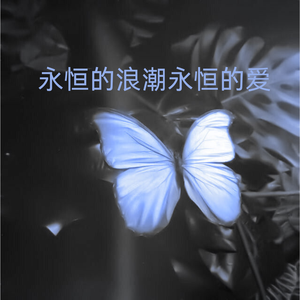 永恒的浪潮永恒的爱