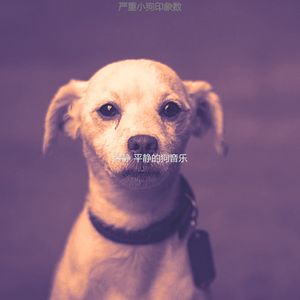 安静的小狗声音