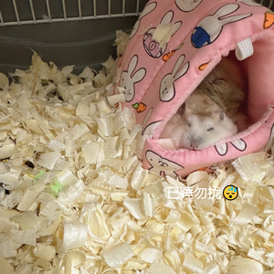 眼泪在我心里缓缓流淌