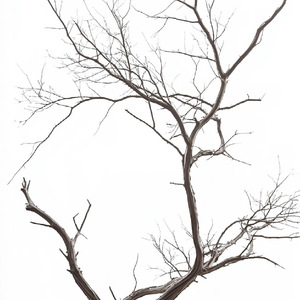 你离开后的冬季