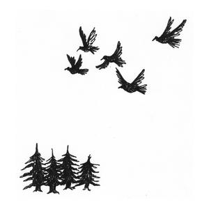 After Darkness, Light