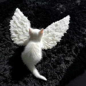 少女时代的英雄主义