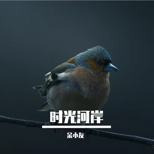 时光河岸 伴奏