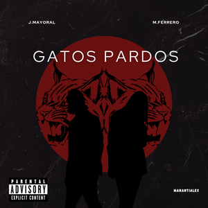 Gatos Pardos