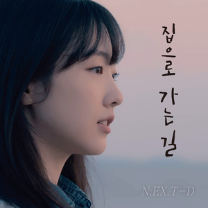 집으로 가는 길