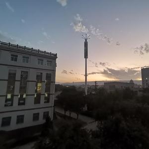 我在昨天的梦里又看见了你