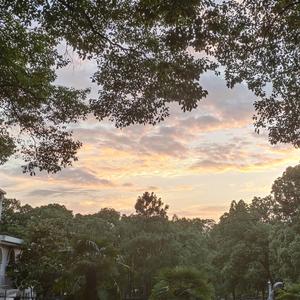 No One Can Save Him（Prod by 张杰峻）