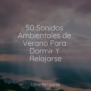 Sellador De Paz