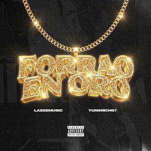 Forrao En Oro (feat. Yung Rich67)