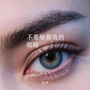 不要躲避我的眼睛 (Cover 王馨平)
