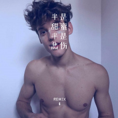 半情歌半微凉 (Remix)