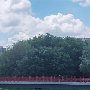 春花，夏蝉和忘不掉的你