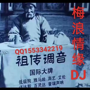 车载中文舞曲