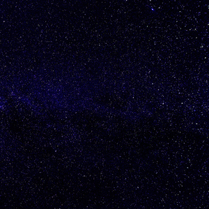 Rocío Sobre El Musgo