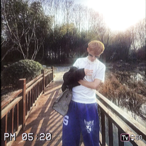 秋叶落（prod.by.morrow）